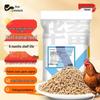 Pássaros – Louça para aves