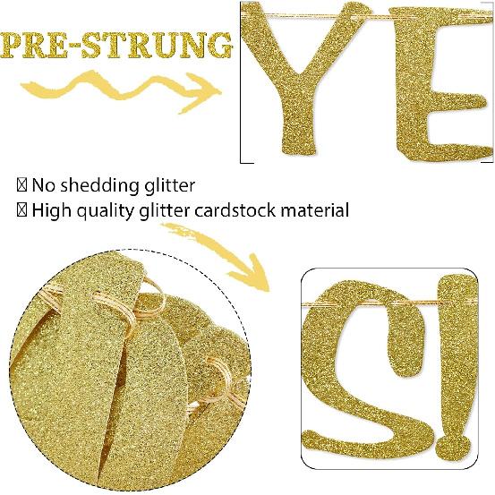 Holy We've Lasted 20 Years Banner, 20th Wedding Anniversary Party Decorations, Funny Decor for Him Her Husband Wife Parents, Pre-Strung, Gold Glitter