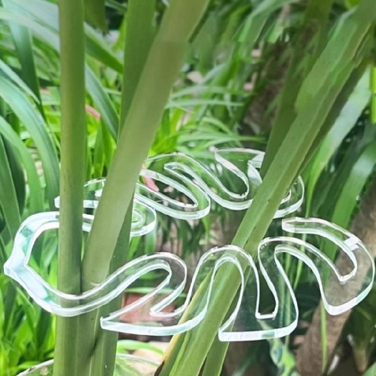 Invisible Garden Plant Support Stake Clear Plastic Stem Holder For Preventing Plant Collapse Suitable For Various Vegetation