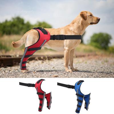 Perros – Suministros de salud