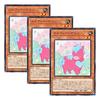 [Set of 3] Yu-Gi-Oh! Japanese Version ROTD-JP020 Melffy Pony (Normal)