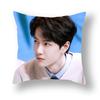Celebrity Printed Pillow Cover Advertising Sofa Bedside Cushion Cover Pillow Cover
