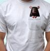 Parte superior (Meninos a partir de 4 anos) – T-Shirts