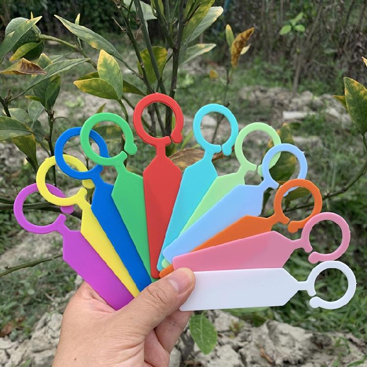 Waterproof Ring For Nursery Vegetable Flower Plant Labels, Seedlings, Orchids, Garden Floral Markers, Plastic Signboards