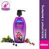 Body Wash Shower Gel Blackcurrant & Bearberry, 895 Ml Family Pack, Body Wash for Women & Men with Skin Conditioners for Radiant Glow,
