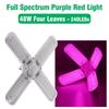 E27 Full Spectrum Grow Light 24W 36W 48W LED Foldable Phyto Lamp SMD 2835 Bulbs Indoor Plants Bloom Flowering Grow Lamp Garden