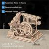 Robotime Rokr Marble Coaster 3D Puzzle Games Wooden Model Kits with Balls Wooden Construction Craft Toys for Kids and Adults
