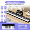 TERENCE X88D Digital Piano, 88 Keys, Foldable, 10W Dual Speaker Output, Acoustic Piano Size, Dual Tones, Metronome, Recording, MIDI Functions, Recharg