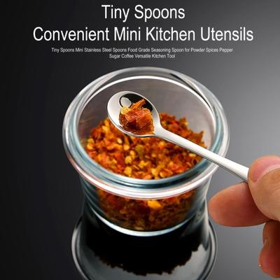 Tiny Spoons Mini Stainless Steel Spoons Food Grade Seasoning Spoon for Powder Spices Pepper