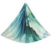 Aerial Yoga Hammock With Extension Straps Carabiner - Silk Fabric No-Knot Design Home Gym Inversion Therapy Studio Use