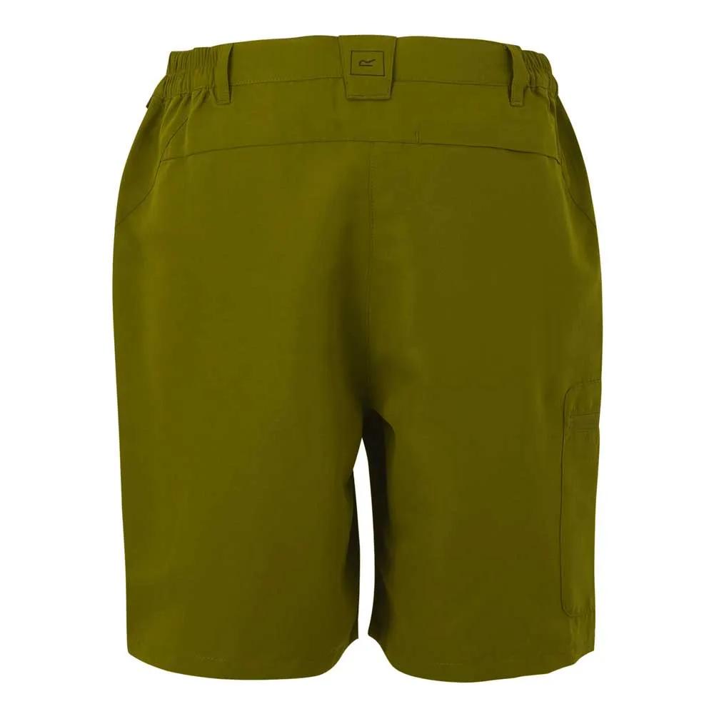Regatta Chaska III Shorts