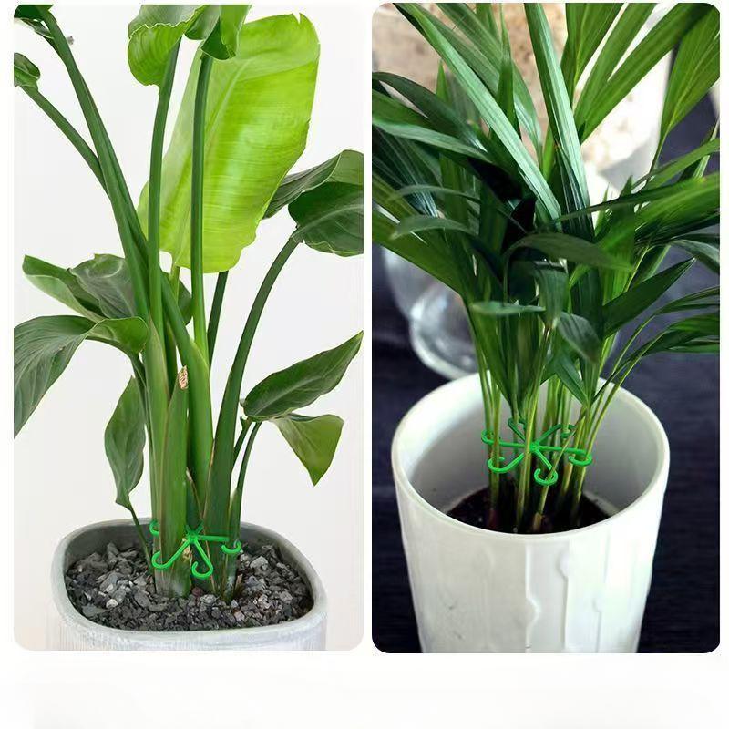 4 SZT Klips do Mocowania Roślin Rama Podporowa do Pnących Roślin Rama do Podtrzymywania Łodyg Kwiatowych do Warzywnika Ogrodu Sadu Ogrodu na Dziedzińcu