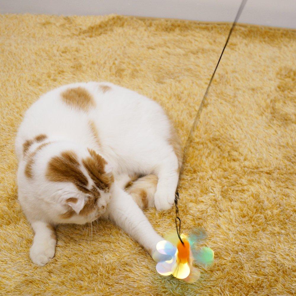 CattyMan Playful Cat Cat Favorite Toy Replacement Sparkling Clione