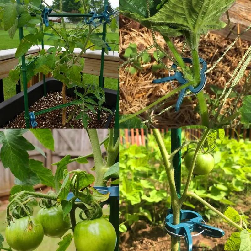 Plante faste klips Gjenbrukbare hagedrivhusbrakett for faste planter Vinrankeblomst frøplante tomater Støtte hageutstyr