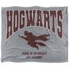 Harry Potter Hogwarts Soft Touch Blanket