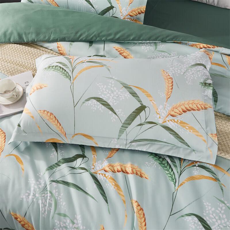A-TIMES Laurenla Brushed 4-Piece Bedding Set