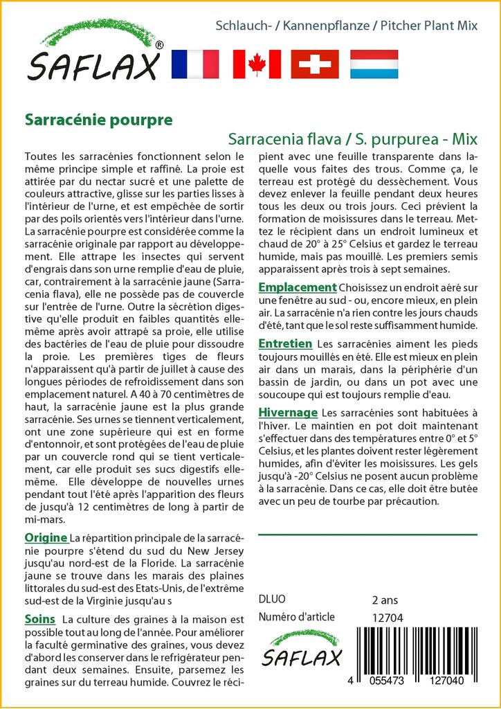 SAFLAX Mix di piante carnivore - 10 semi - Sarracenia Mix