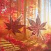 Self-Adhesive Cold Laminating Film - 6 Inch, A4, A6 for Photos, Bookmarks, and Leaf Specimens