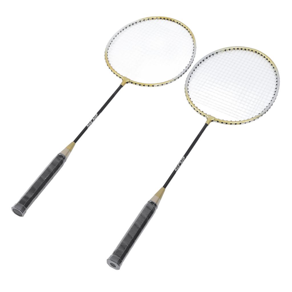 Alloy Badminton Rackets Set of 2 Adults Teenager Lightweight Badminton Racquets with Bag for Entertainment Training