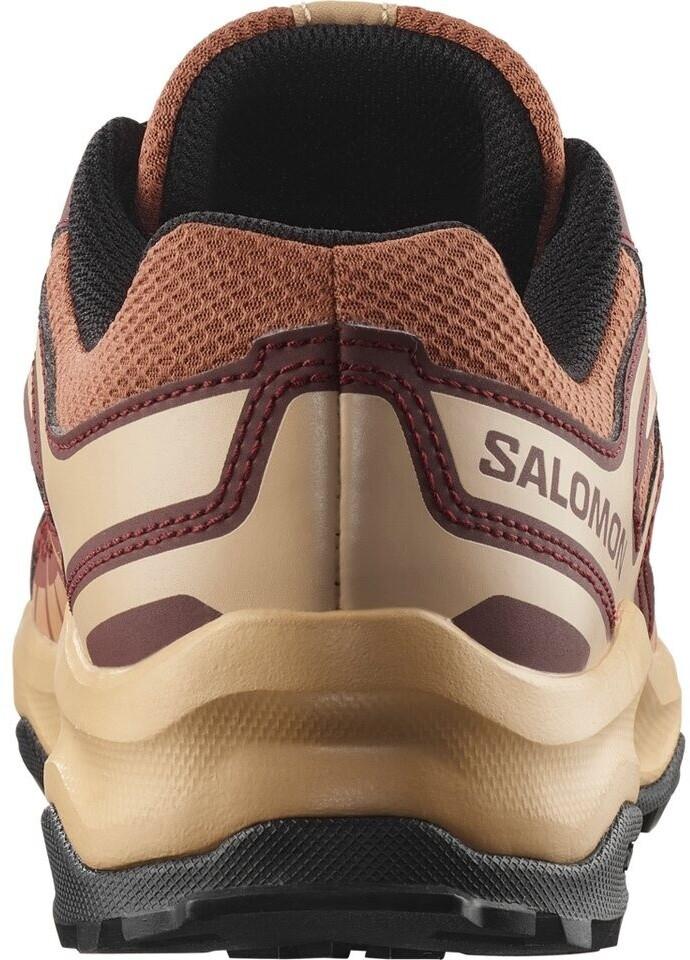 Hiking Shoes Salomon Extegra Multisportschuhe Brown Henna Butterum