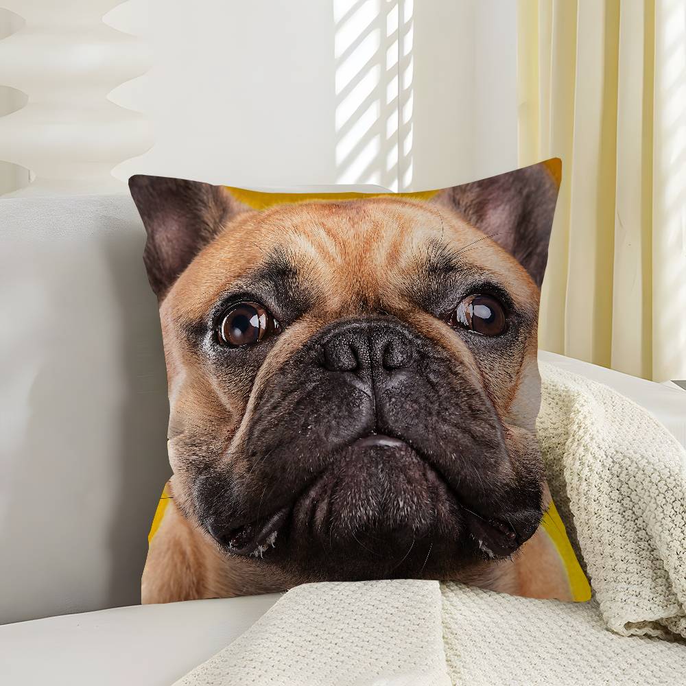 Anime French Bulldogs Lucky Dragon Pillow Cover Sofa Cushion Cover Home Room Decoration Children Gift
