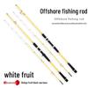 Ginkgo Offshore Small Boat Jigging and Casting Fishing Rod 40#
