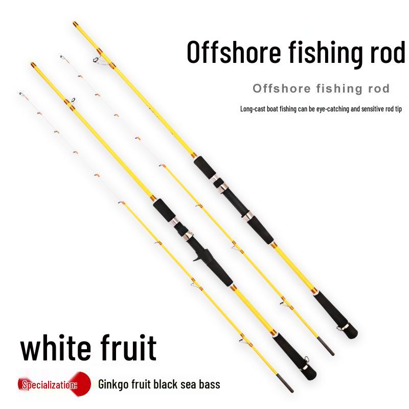 Ginkgo Offshore Small Boat Jigging and Casting Fishing Rod 40#