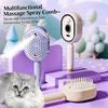 Pet Electric Spray Air Cushions Massage Comb 3 In 1 Self Cleaning Steam Essential Oil Brush Rechargeable Spray Scalp Massager