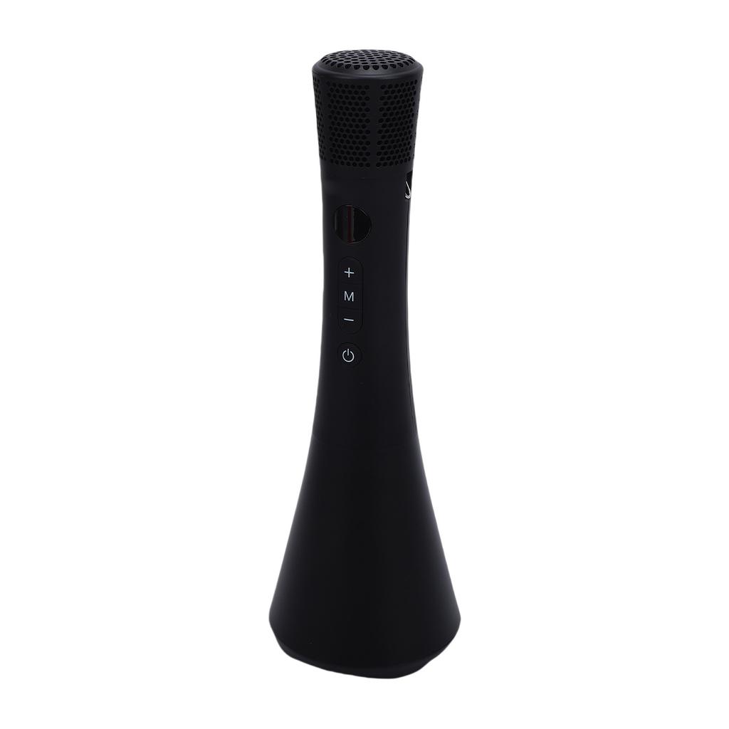 Wireless Microphone Speaker BT Portable Handheld Mic Speaker 20W Loud Speaker Rechargeable for In Person Group Karaoke