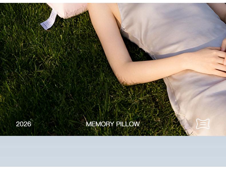 2026 New Cloud-Like Slow Rebound Memory Pillow Core - Customizable Home Pillow