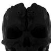 Skull Pen Holder Small Plastic Skull Makeup Brush Organizer Gothic Desk Storage Cup for Home Office Halloween Decor