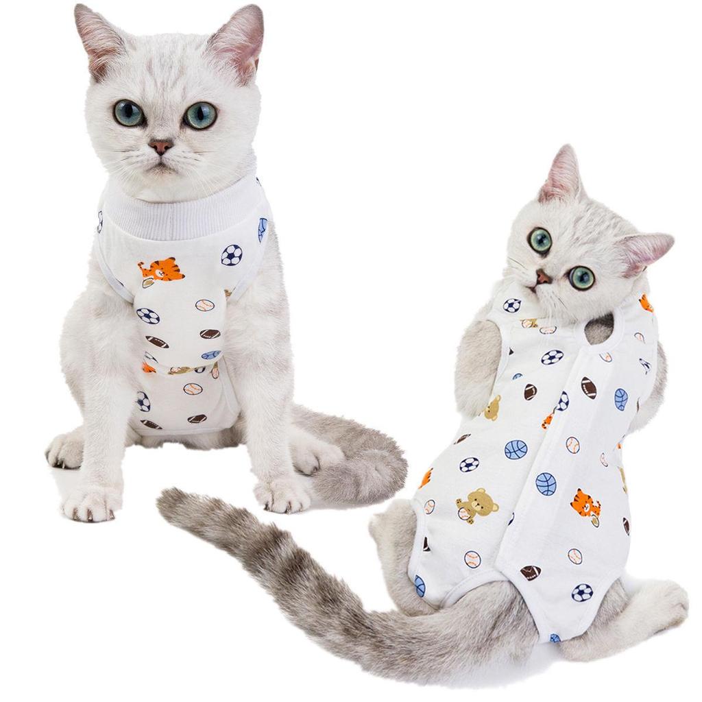 Cat Postpartum & Surgery Suit: Anti-Lick, Four-Legged Weaning Clothes for Spring/Summer