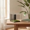 Acrylic Display Cube with Grass Base Lightweight Showcase Modern for Desk, Shelf