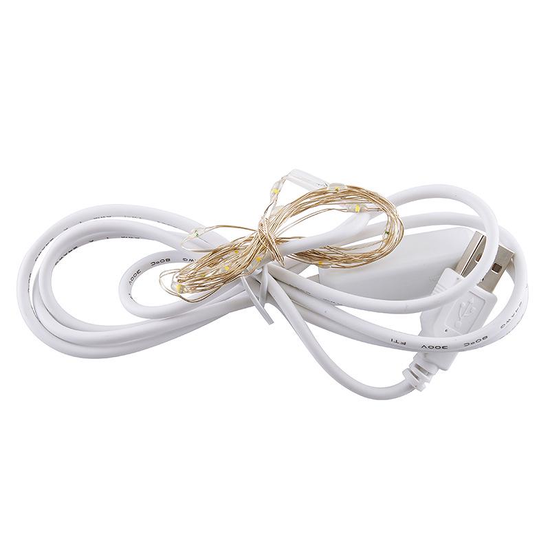 

USB Переключатель Медные Проволочные Гирлянды со Стеклянным Колпаком и Сухоцветами - Рождественские Праздничные Сказочные Огни 2m Warm Light with 501 Switch