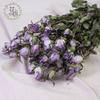 Small Dried Rose Buds for DIY Flower Arrangements and Home Decor