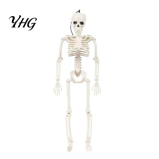 Posable Plastic Skeleton for Home Decor Realistic Halloween Figure, 40cm Joints Hanging Skull Decoration, Decorative Skeletons Porch Mini Bones