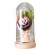 Halloween Light Up Pumpkin In Clear Cloche Handmade Glowing Pumpkin Light for Home Kitchen Mantel Tabletop Indoor Halloween Decoration