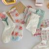 Aurora See-Through Flower Pastel Lace Colored Mock Socks