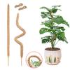 60/80/100/120cm Bendable Plant Climbing Palm Cane for Indoor Coir Plant Monstera Support Garden Trellis Plant Stick Stakes