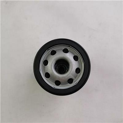 Compatible Oil Filter for Foton Engine SPM40004240W0276