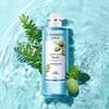 CHANDO Herbal Oil Control & Volumizing Shampoo