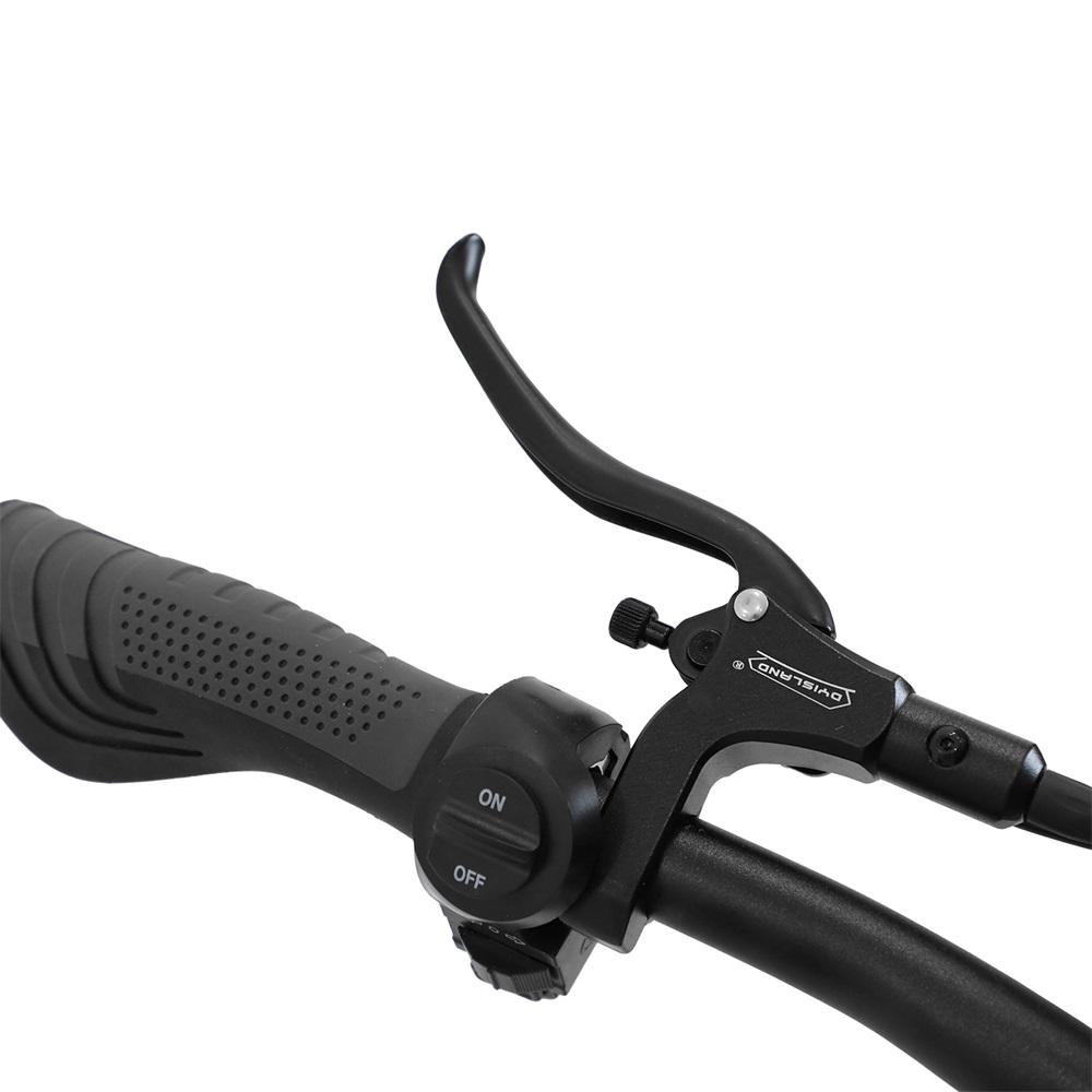 OOTD T30 All-Terrain Foldabe EScooter For Adult 1600W*2 Motor 60V 31.2 AH  Battery 13 Inch Off-Road Tires Electric Scooter
