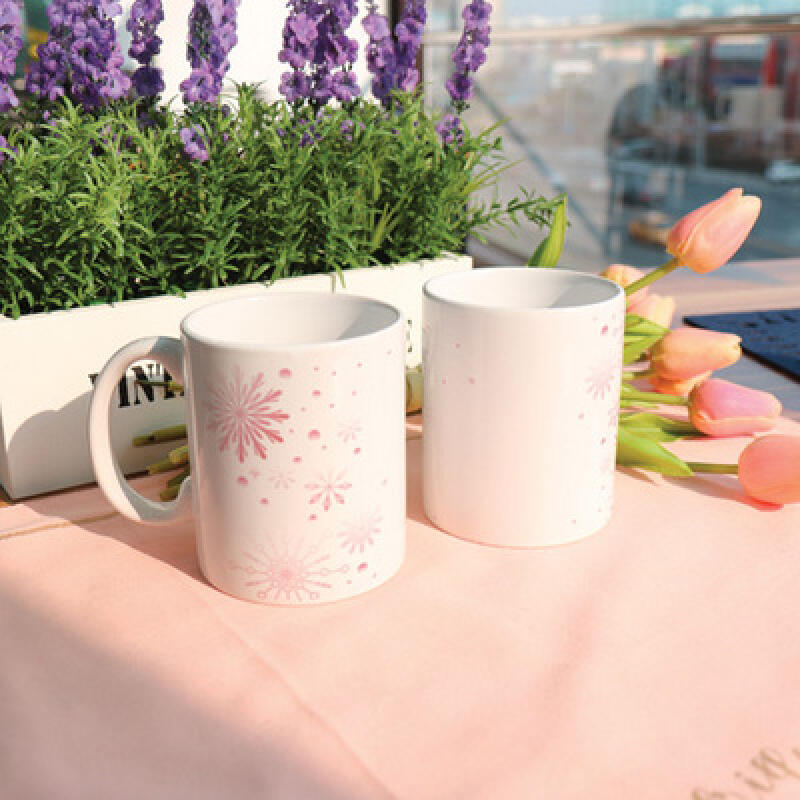 cb744-Design Mug 2p-Pink Snowflake