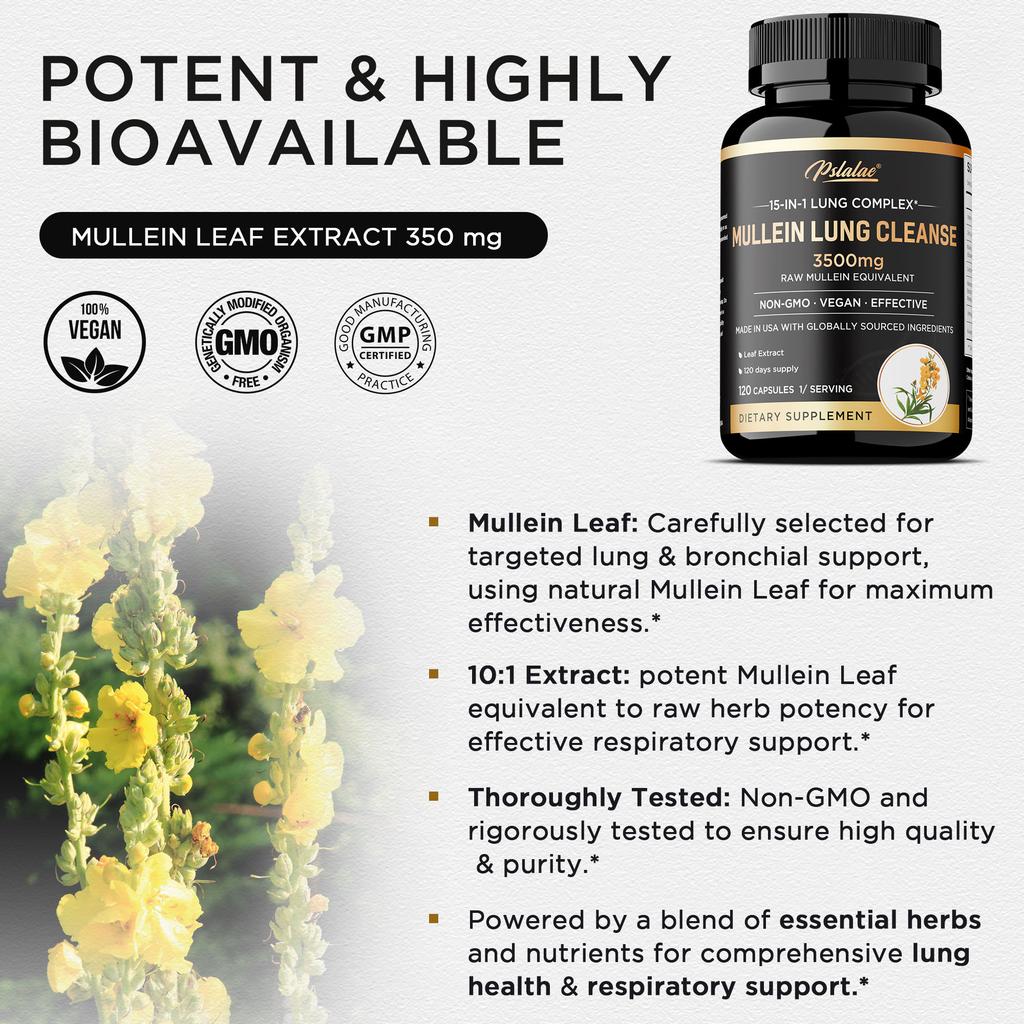 Enthält Königskerzenblatt-Extrakt, Echinacea, Oregano, eine Quercetin-Mischung und ein Nahrungsergänzungsmittel zur Unterstützung und Reinigung der Lunge.