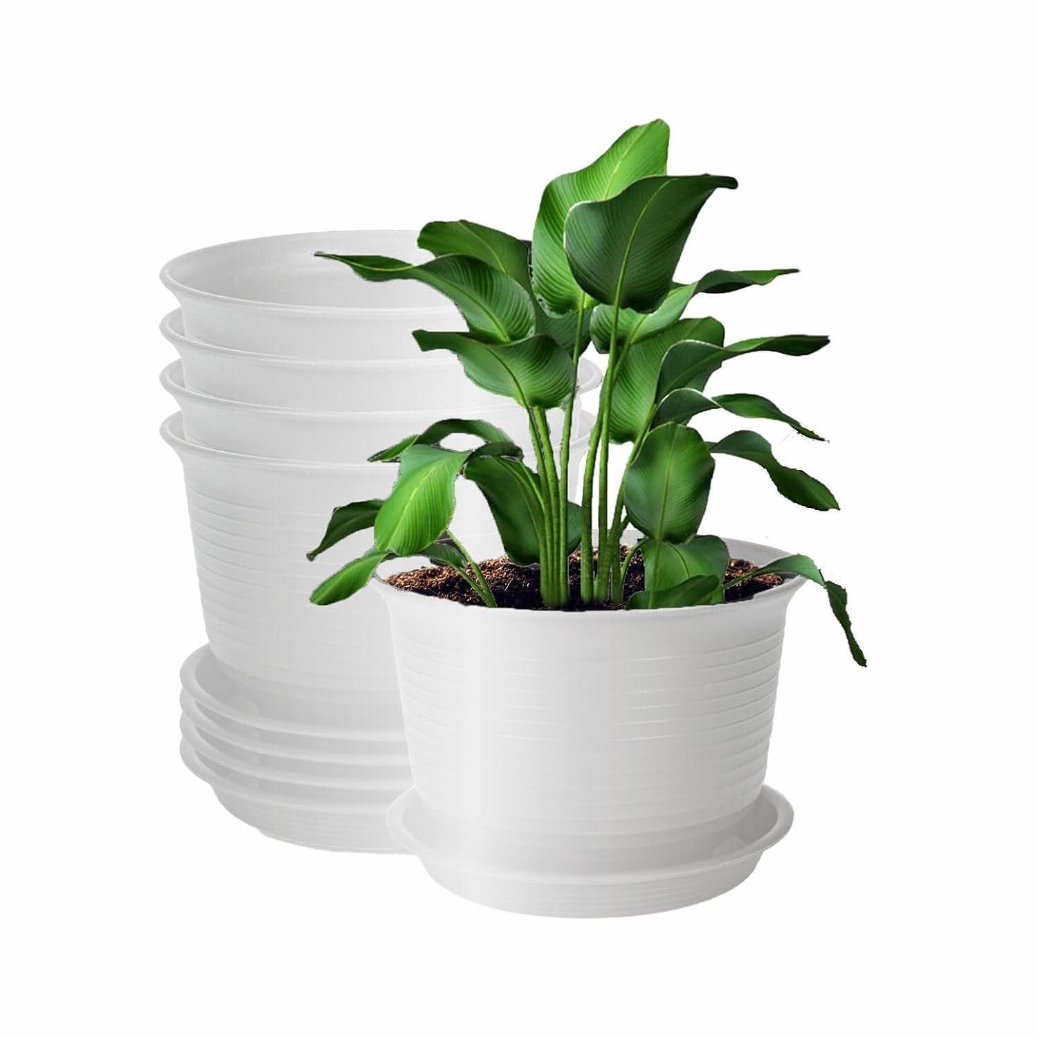 

Пластиковые круглые цветочные горшки с поддоном для домашних растений, террасы, сада и т. д. | Упаковка из 05 штук | Белый | Размер 8 дюймов | для дома, для помещений и улицы белый