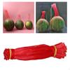 100 Pieces Hanging Watermelon Net Bags Fruit Mesh Protection Cucumbers Growing Storage with