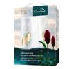 Green Valley Anti-Dandruff Shampoo & Hair Mask Set