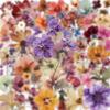 10/30/50pcs Vintage Dry Flower Stickers Watercolor Aesthetic Graffiti Decals DIY Laptop Journal Notebook Transparent Sticker Toy