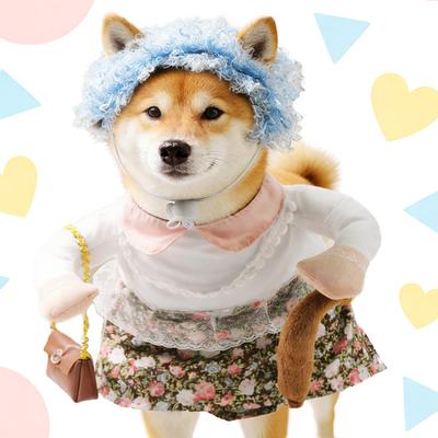 1 Set Yaşlı Kadın Köpek Kostümü Kıvırcık Saç Şapkası ve Çiçekli Kedi Elbisesi Kedi ve Küçük Köpekler İçin Komik Evcil Hayvan Kıyafeti Partiler Festivaller