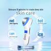 Ultrasonic Ion Face Massager with Hot/Cold Therapy & Light Rejuvenation